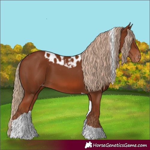 Horse Color:Unknown 
