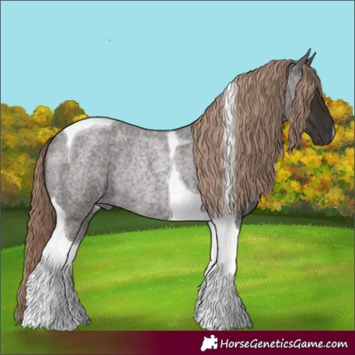 Horse Color:Liver Red Roan Tobiano Rabicano