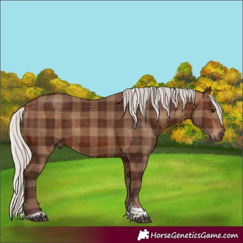 Horse Color:Plaid  Silver Bay Tobiano 