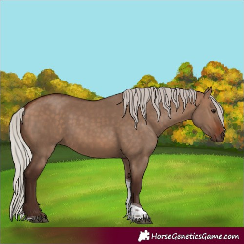 Horse Color:Silver Brown Dun Tobiano 