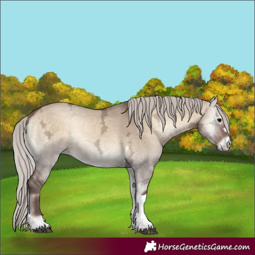 Horse Color:Silver Brown Ice Onyx Tobiano 