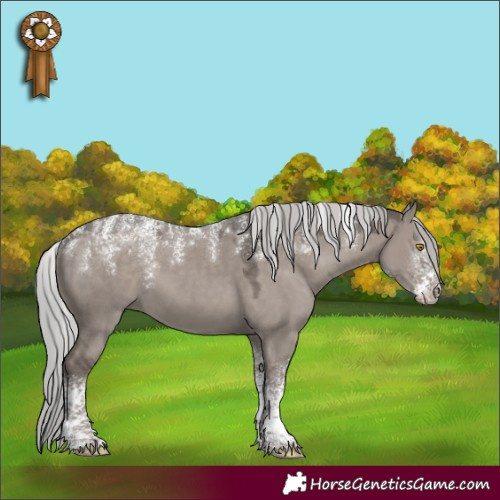 Horse Color:Powder White Platinum Silver Grullo Rabicano 