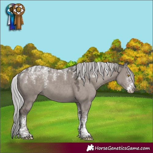 Horse Color:Powder White Platinum Silver Grullo Rabicano 