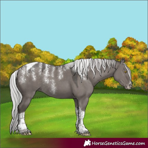 Horse Color:Powder White Platinum Silver Grullo Tobiano Rabicano
