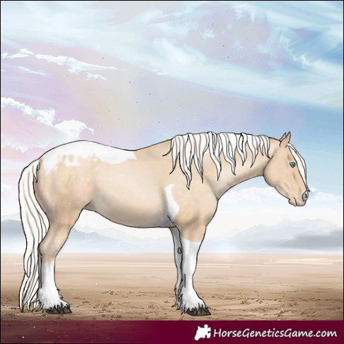 Horse Color:White Spotted Silver Brown Tobiano Appaloosa 