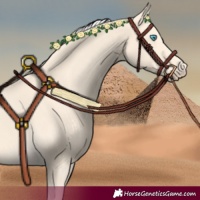 Horse Color:Cremello