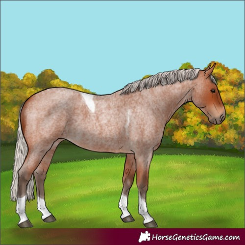 Horse Color:Silver Bay Roan Tobiano 