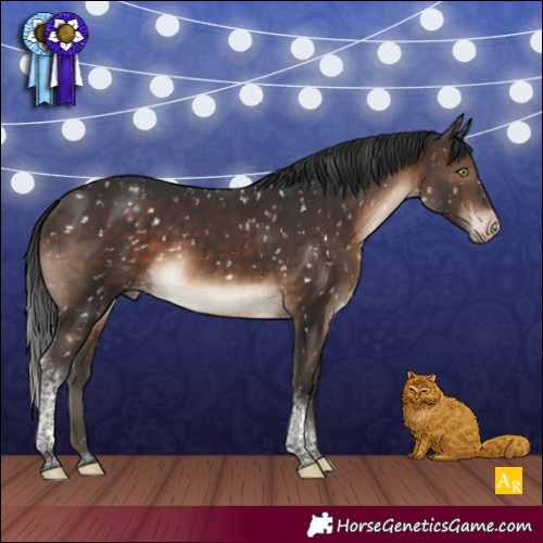 Horse Color:Brown Tobiano Snowflake VarnishRabicano 