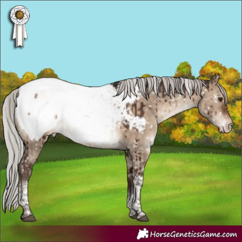 Horse Color:Silver Brown Dun Tobiano Near Fewspot Rabicano Brindle 