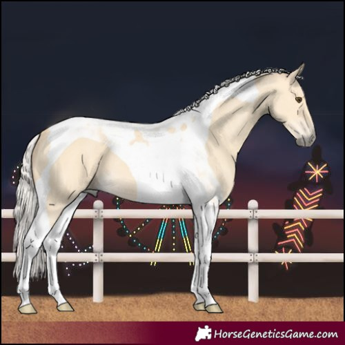 Horse Color:Chocolate Silver Buckskin Dun Tobiano 