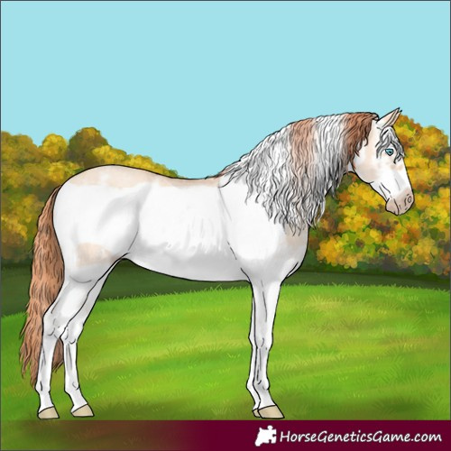 Horse Color:Gray Perlino Dun Sabino Frame 