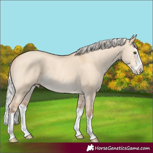 Horse Color:Silver Classic Champagne Dun Splash 
