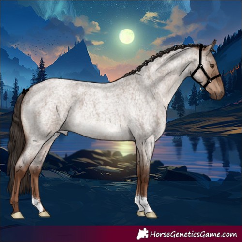 Horse Color:Liver Red Dun Roan 