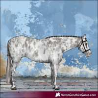 Horse Color:Liver Red Roan Sabino Splash Near Leopard and Liver Red Roan Sabino Splash Near Leopard