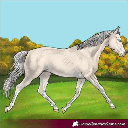Horse Color:Cremello Splash  and Cremello Splash 