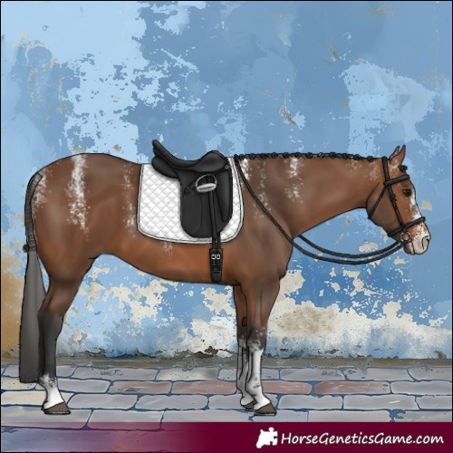 Horse Color:Powder White Bay 