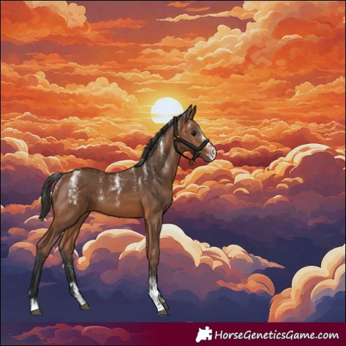 Horse Color:Powder White Bay 