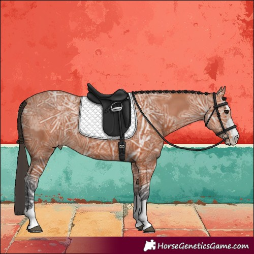 Horse Color:Bay Ice 