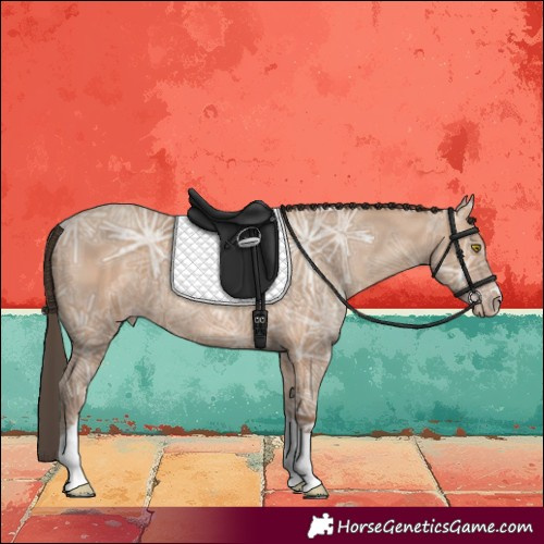 Horse Color:Amber Champagne Ice Tobiano Rabicano 