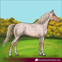Horse Color:Red Roan Sabino Varnish 