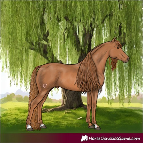 Horse Color:Chestnut 