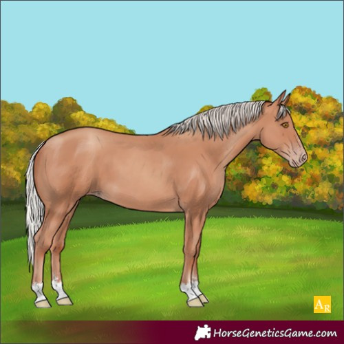 Horse Color:Silver Classic Champagne