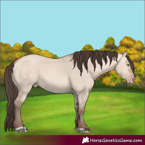 Horse Color:Amber Champagne Dun