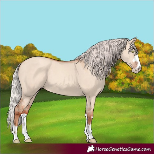 Horse Color:Silver Sable Champagne Dun