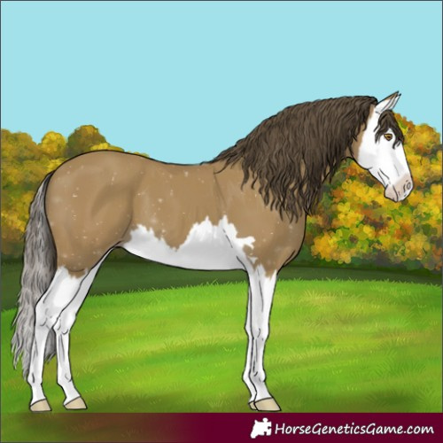 Horse Color:Classic Cream Champagne Splash