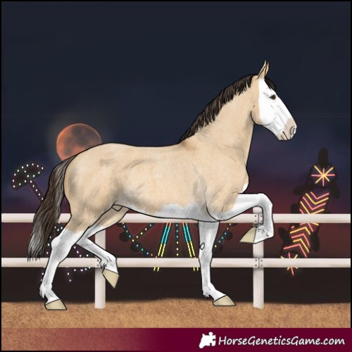 Horse Color:Buckskin Roan Dun Splash 