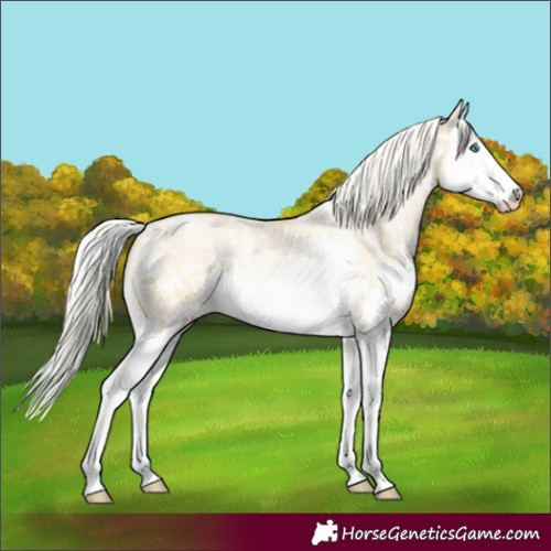 Horse Color:Silver Buckskin Pearl Dun Sabino Splash 