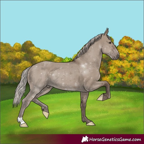 Horse Color:Silver Grullo