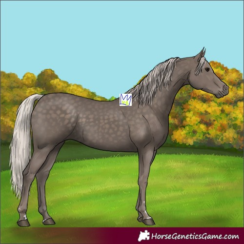 Horse Color:Silver Black 