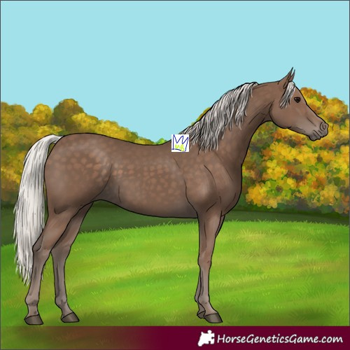 Horse Color:Silver Black 