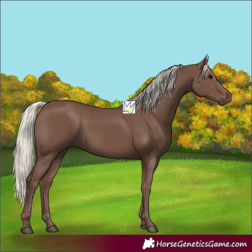 Horse Color:Silver Black 