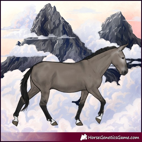 Horse Color:Gray Grullo 
