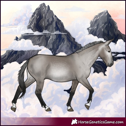 Horse Color:Gray Grullo 