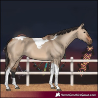 Horse Color:Bay Dun Tobiano