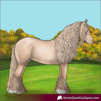 Horse Color:Gold Champagne Pearl Rabicano  and Gold Champagne Pearl 