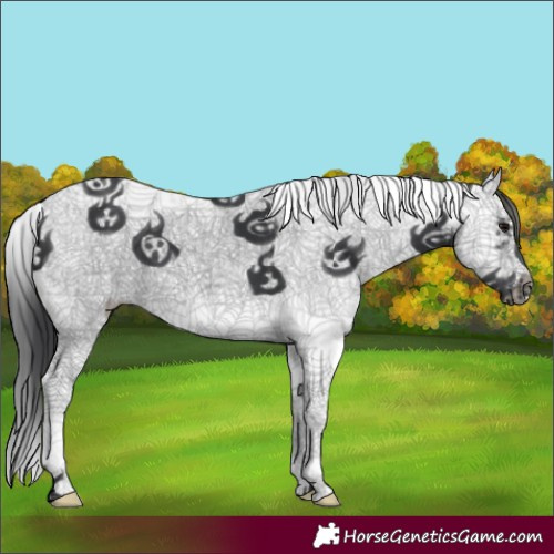 Horse Color:Black Sabino Splash Frame 