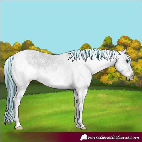 Horse Color:Painted White Spotted Black Splash 