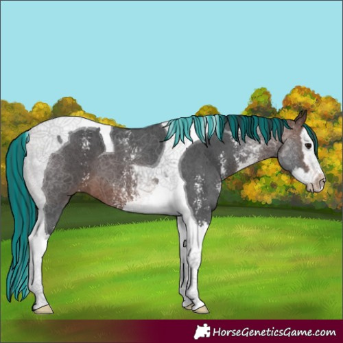 Horse Color:Painted Brown Sabino Splash Tobiano
