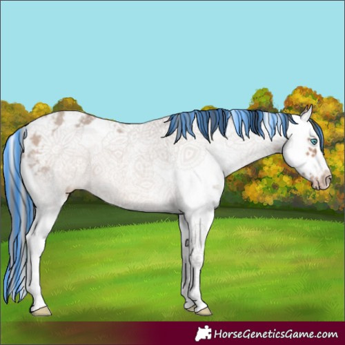 Horse Color:Painted Sable Champagne Sabino Splash Frame 