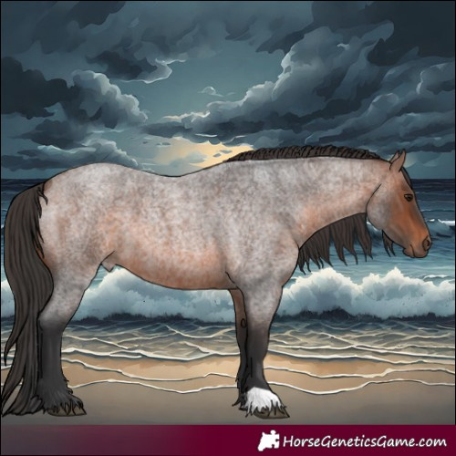 Horse Color:Brown Roan