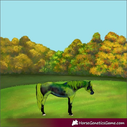 Horse Color:ERROR: UNKNOWN ANOMALY