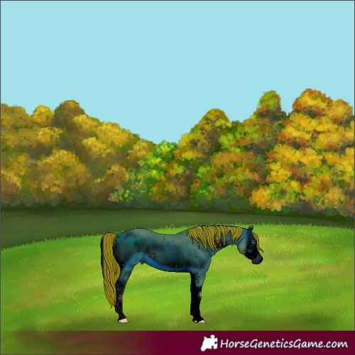 Horse Color:ERROR: UNKNOWN ANOMALY