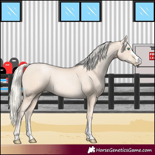 Horse Color:Gold Cream Champagne Pearl 