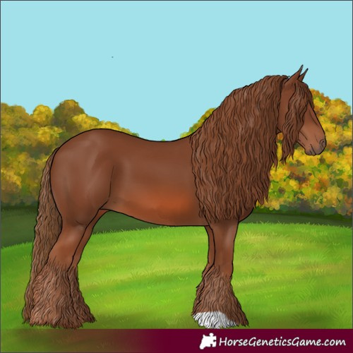 Horse Color:Chestnut 