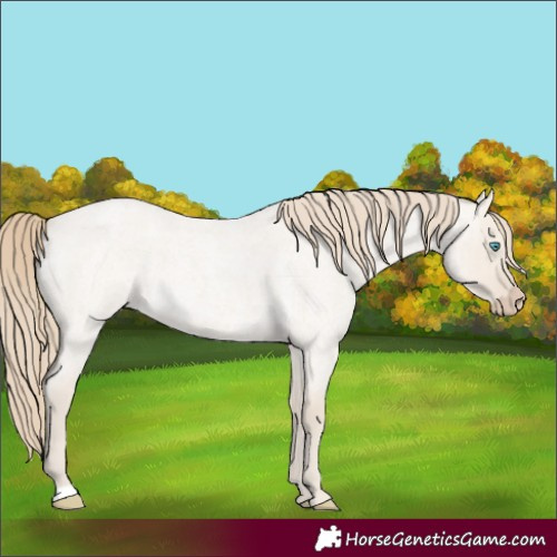 Horse Color:Smoky Creme Roan Dun 