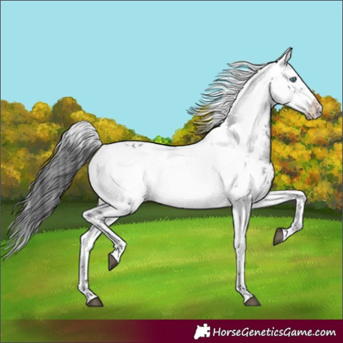 Horse Color:Black Frame